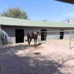 Indoor Stall attached Run